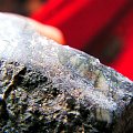 macrofotografia #meteorytopodobne