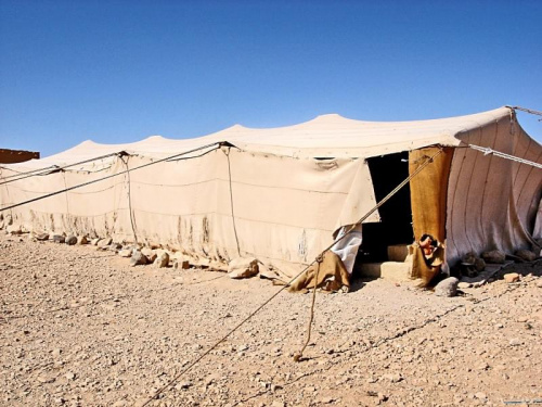Syria - namiot Beduinów