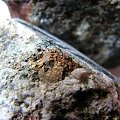 macrofotografia #meteorytopodobne