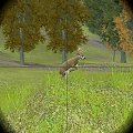 Screen ze świetnej gry Hunting Unlimited 3