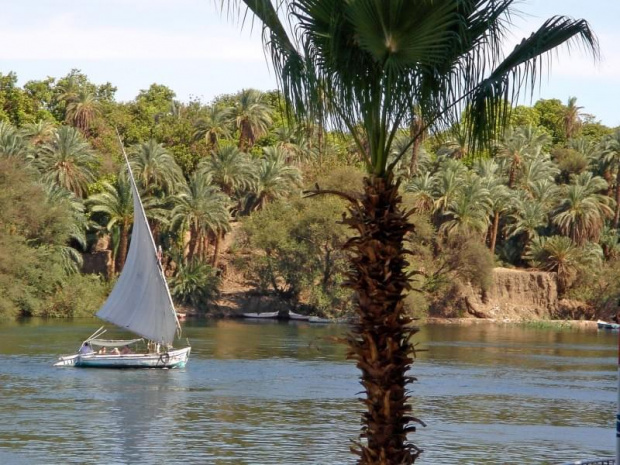 Feluka na Nilu. Okolice Asuanu.