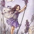 Dzieci kwiaty i motyle #BarwyJesieni
