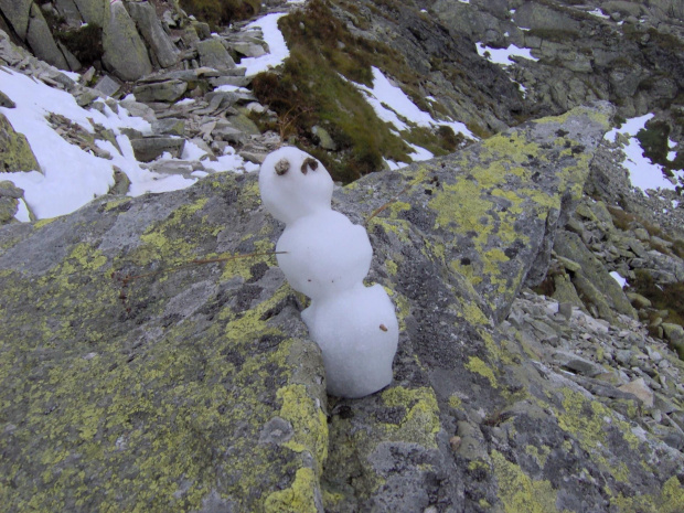 w srodku lata balwanek ze sniegu...Tatry zadziwialy mnie od zawsze