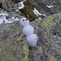 w srodku lata balwanek ze sniegu...Tatry zadziwialy mnie od zawsze