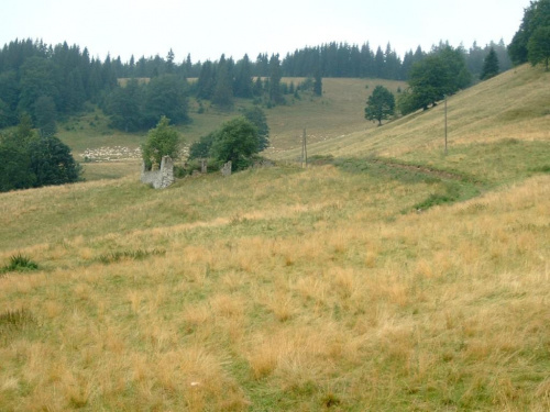 #pieniny #gory #góry #szlaki #trasy #widoki