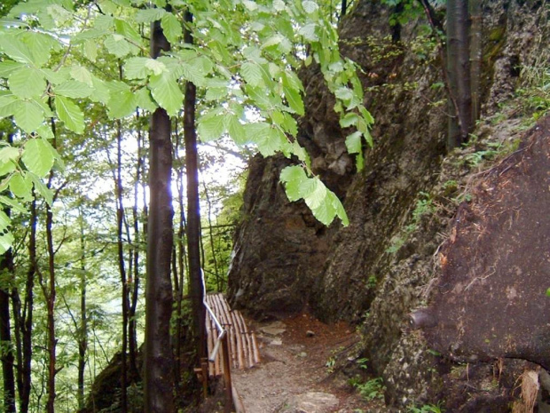 #pieniny #szlaki #gory #góry #widoki