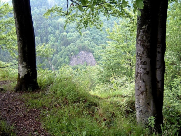 #pieniny #szlaki #gory #góry #widoki