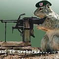 #śmieszne