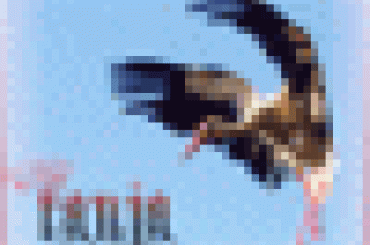 Avatar "tanja" z wykorzystaniem zdjęcia ze strony
www.monki.com.pl/fotodni/index.html #SymbolikaBociana #WizerunekBociana #PrywatnyAvatar