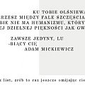 Pierdoły....
