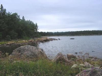 Kamienista plaża