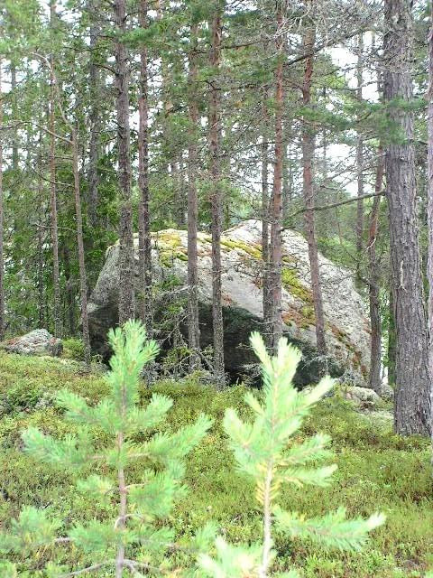 Głaz w rezerwacie Gnarpskaten