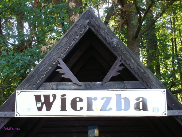 Wierzba #wierzba