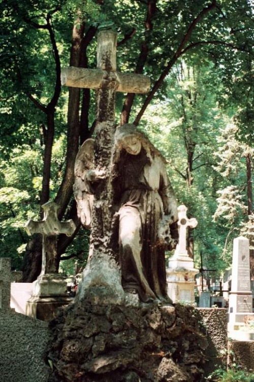 cmentarz Rakowicki