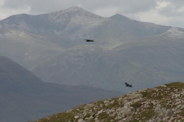 Buachaille Etive Mor #szkocja