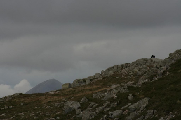 Buachaille Etive Mor #szkocja