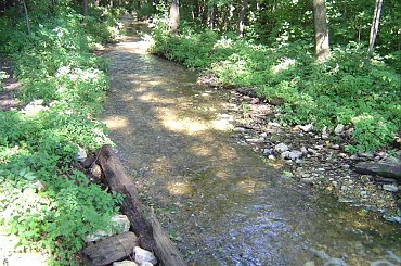 #ZłotyPotok #Dworek #Krasicki #Raczyńskich #Park #Las #Staw