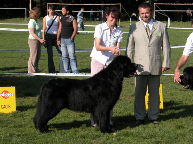 WROCŁAW 2006 - wystawa