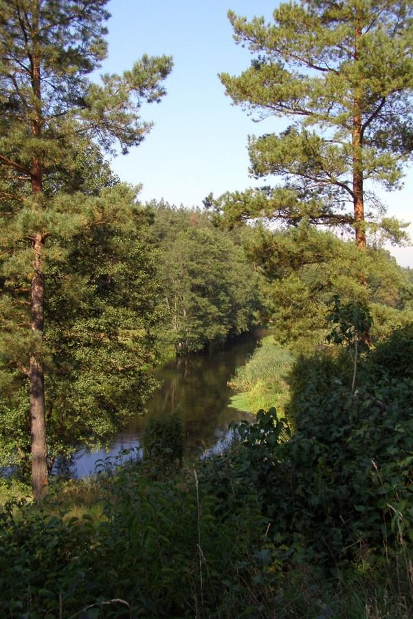 Relacja fotograficzna z wycieczki odbytej 17 IX 2006 roku. Przebiegała ona przez centralną cześć borw tucholskich. Trasa wiodła ze Smętowa przez Osiek i Legbąd do Rytla
Więcej na:
www.phantom.blog.pl