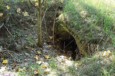 Fortyfikacje 2 wś rejon Kaliszki, kierunek Szury - Szymki #Mazury #Rower #Kaliszki #BunkryKocha