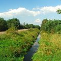Jedziemy wzdłuż brzegu Jankówki #Jankówka #las #rzeczka #rzeka #strumień
