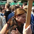 #jamnik #jamniki #kraków #parada #pies #psy