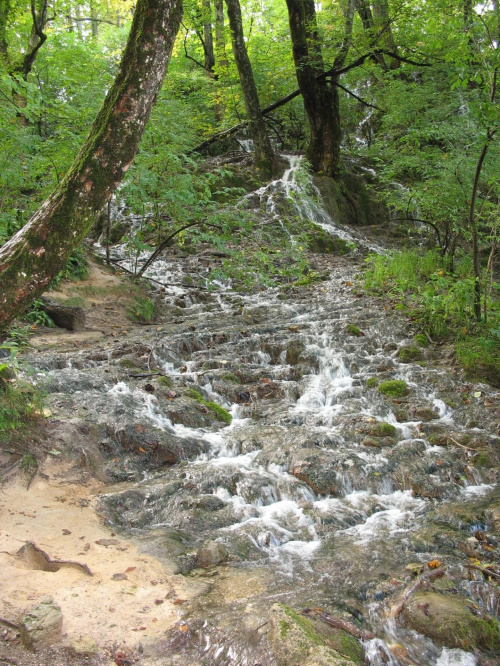 Plitwickie Jeziora - Chorwacja