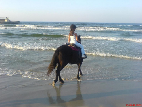 Mały konik i mała amazonka #koń #morze