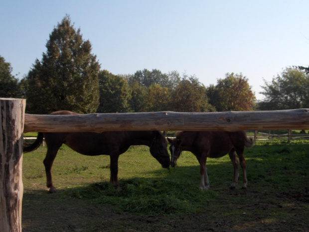 skansen