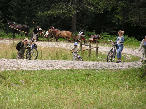Wycieczka rowerowa Kubusia do Doliny Chochołowskiej w Tatrach.