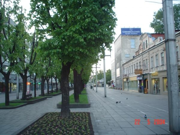 Kaunas (Kowno) - zdjęcia między 4.00 a 5.00 nad ranem !