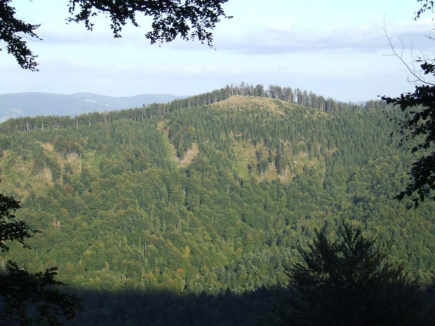 Beskid Sądecki - Radziejowa i okolice #Góry