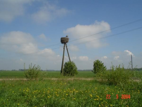 polna droga ze wsi Jansvirlauka do miasta Jełgawa