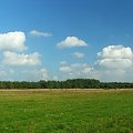 Łąki Bonowskie #łąka #łąki #Bonów