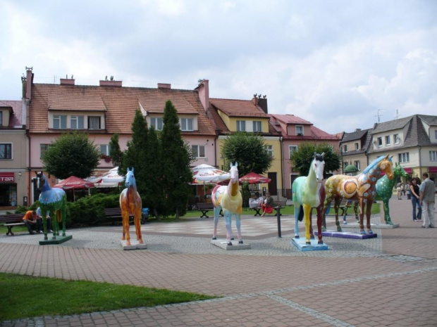 Centrum i okolice Żor