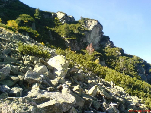 Góry 2006