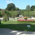 boczny ogród