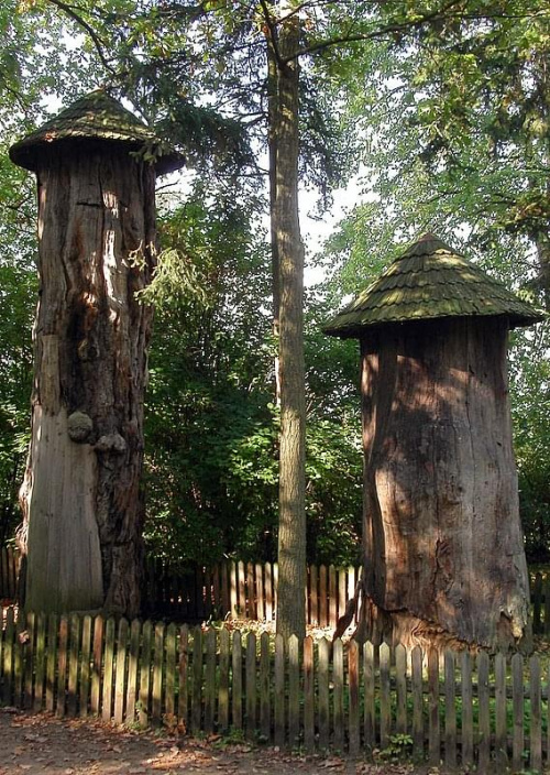 drzewa bartne - niższe to dšb liczšcy ok. 700 lat, wyższe - 500-letnia sosna. W takich drzewach na wysokoci od 3 do 18 metrów w dziuplach żyły pszczoły. W roku 1830, w czasie powstania listopadowego, powstańcy przechowywali w tych drzewach broń