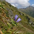 Szlakiem z Kopy Kondrackiej do Kasprowego (w tle Świnica) #Góry #Kasprowy #KopaKondracka #Tatry