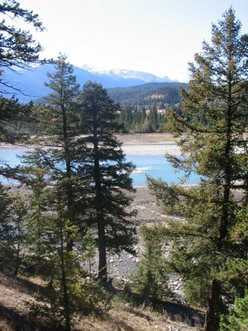 Jasper, Alberta, Canada
7-8 X 2006