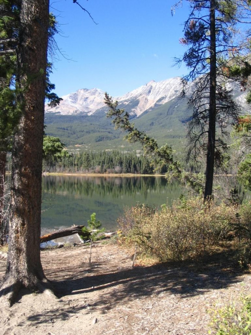 Jasper, Alberta, Canada
7-8 X 2006