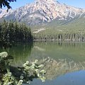 Jasper, Alberta, Canada
7-8 X 2006