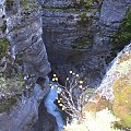 Maligne Canyon, Jasper, Alberta, Canada, 8 X 2006