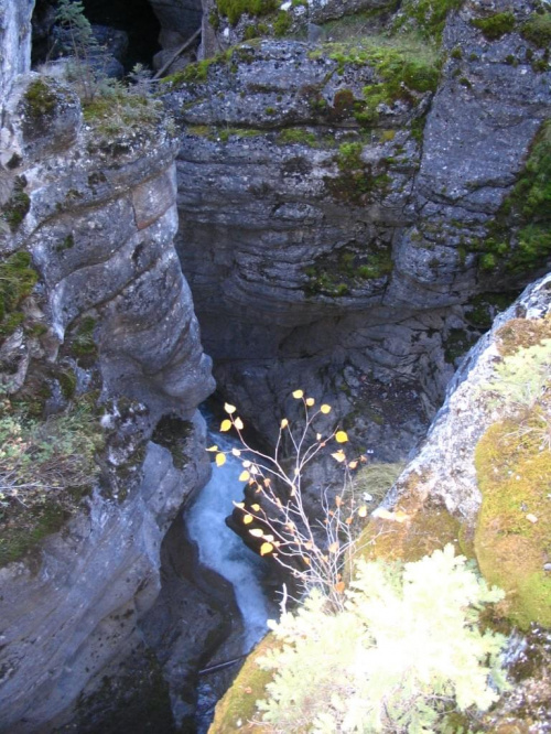 Maligne Canyon, Jasper, Alberta, Canada, 8 X 2006