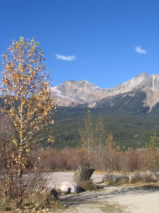 Jasper, Alberta, Canada
7-8 X 2006