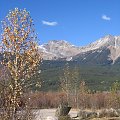 Jasper, Alberta, Canada
7-8 X 2006