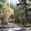 Jasper, Alberta, Canada
7-8 X 2006