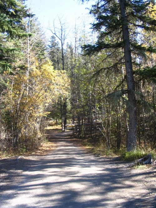 Jasper, Alberta, Canada
7-8 X 2006