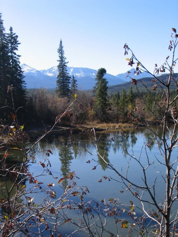 Jasper, Alberta, Canada
7-8 X 2006