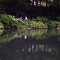 Nowojorski Central Park. Największy park w Nowym Jorku, jednak wszystko jest w nim zrobione ręką człowieka. Pod tą masą zieleni, jest beton, a pod nim cała machineria, która włącza sztuczne strumyczki, wodospady, źródełka. Nie ma w nim niestety nic nat...